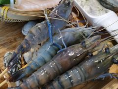 -Thai Basil罗勒叶泰式餐厅(时代天街店)