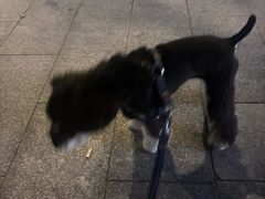 -转角宠物(转塘方家苑店)