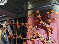 -清真·卡德尔大叔新疆主题餐厅(龙汇路店)