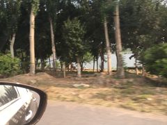 -龙达温泉生态城