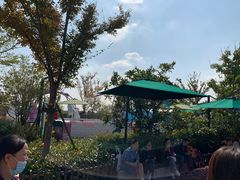 -季高兔窝窝亲子园(上海薰衣草公园店)