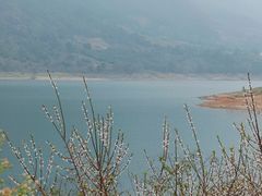 -广州市流溪河国家森林公园