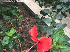 -龙达温泉生态城