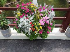-东平国家森林公园