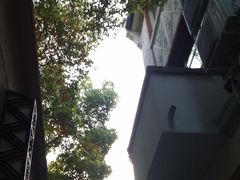 IMAG0056-Ginger(兴国路店)