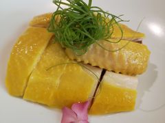 凉拌三黄鸡-荷风细雨·中国茶宴(碧云店)