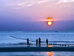-碧海金沙