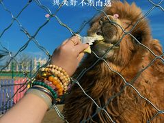 -天津妈祖文化园