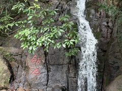 -莫干山风景区