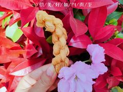 -東更道点心行(文化东路店)