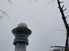 -长沙黑麋峰国家森林公园