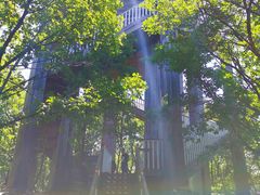 -帽儿山国家森林公园