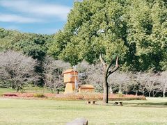 -苏州上方山国家森林公园