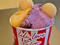-莉莉熊Lililove Gelato (意大利手工冰淇淋)
