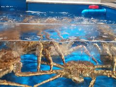 -帝皇海海鲜豆捞(桐泾商务广场店)