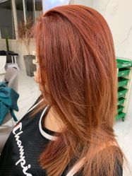 -潘多拉Hairsalon