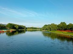 -羊亭河湿地公园