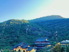 -树山生态村