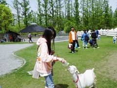 -前小桔亲子创意农场·草莓采摘·露营烧烤