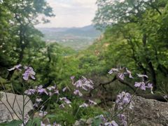 -北京鹫峰国家森林公园