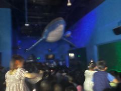 -常州海昌海洋探索馆