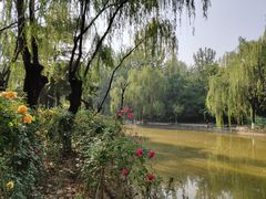-西安市长乐公园