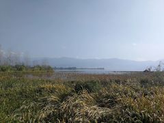 -西昌邛海湿地