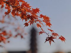 -盘门景区