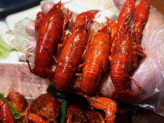 -馋嘴猫北京食堂·烤鸭·宵夜(亚运村店)
