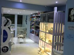 大堂-喵的天空名猫咖啡馆·撸猫·猫舍·用品