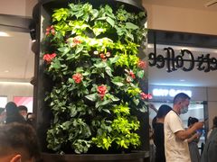 -Peet's Coffee皮爷咖啡(德基店)