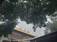 -西安市广仁寺