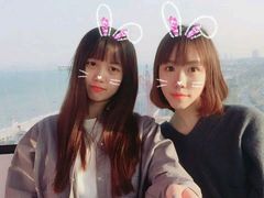 -巨鹏飞梦幻海岸