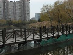 -新江湾城公园