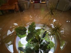 -皇室假期美食水疗会(春风路店)