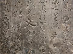 -安阳博物馆