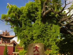 -大槐树寻根祭祖园