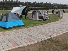 -君乐宝优致牧场