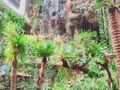 -正佳雨林生态植物园