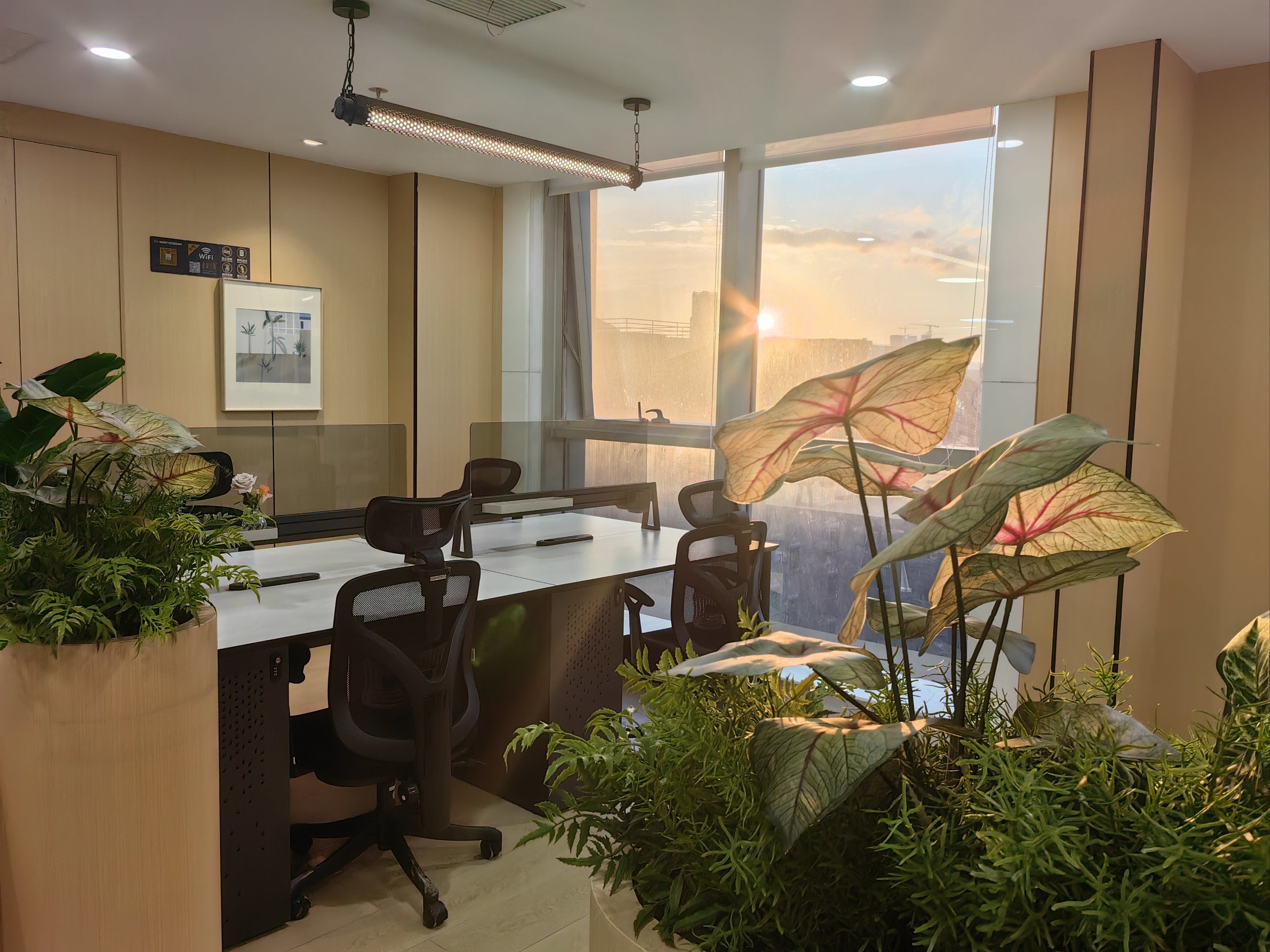 没错,我创业啦.在龙华租了一个880的办公室