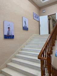 -碧莲盛·不剃发植发