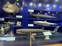 -北海海底世界