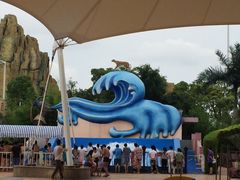 -上海玛雅海滩水公园