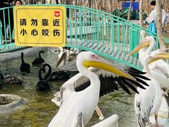 -水上乐园·欢乐世界