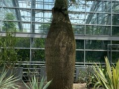 -南山植物园