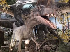 -湖南省地质博物馆