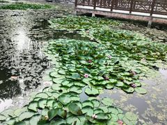 -丰台科技园生态主题公园