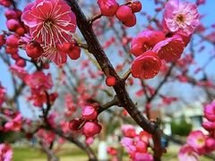 -玄武湖景区-情侣园游乐场