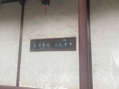 -椿不老