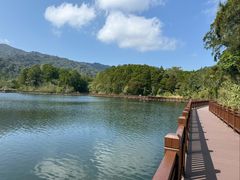 -海南热带雨林国家公园吊罗山景区